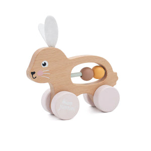 Jumini Bunny Push Along Age From 0