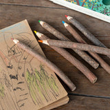 Twig colouring pencils (set of 6)