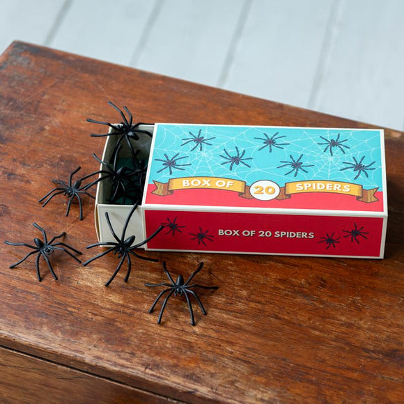 Box of 20 spiders