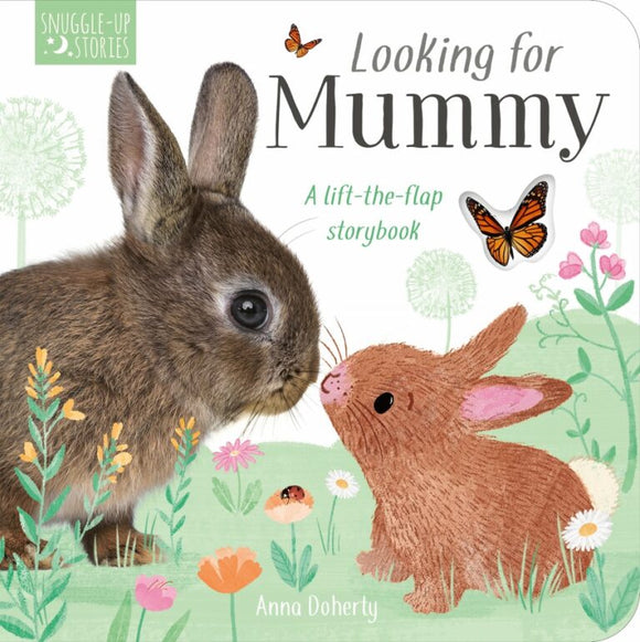 Looking for mummy board book