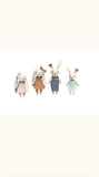 Speedy Monkey Rabbit Family