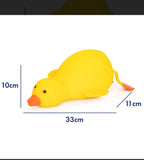 The Big Squij Duck