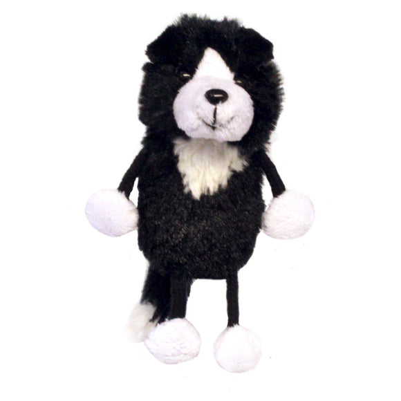 Finger Puppet Border Collie