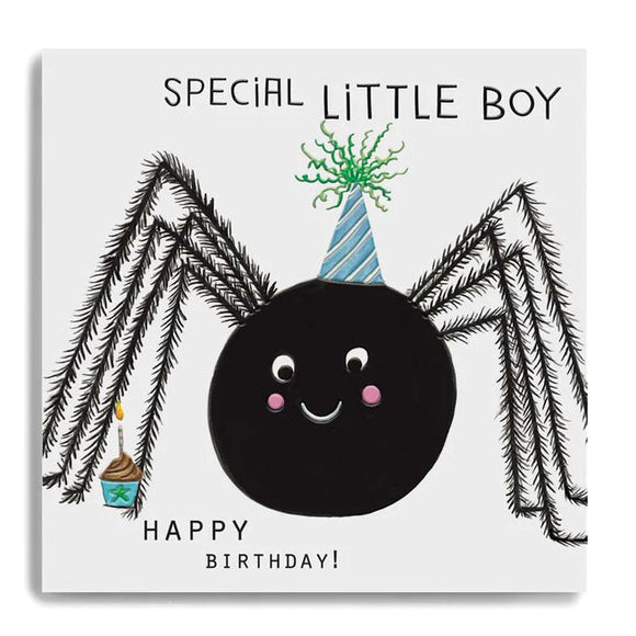 Special Little Boy Birthday Card