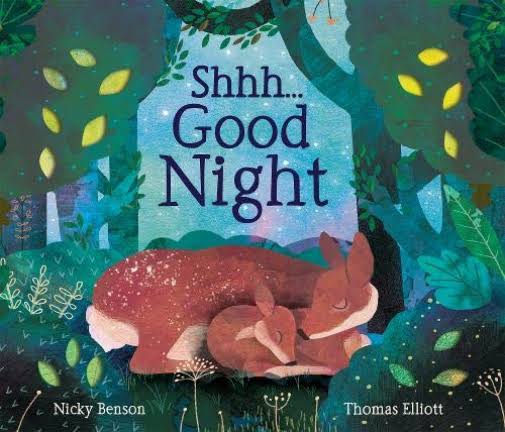 Shh Good Night Book By Nicky Benson