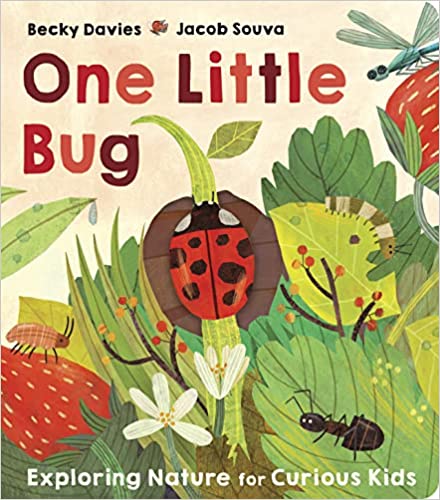 One Little Bug Board book – 1 Sept. 2022 by Becky Davies (Author), Jacob Souva (Illustrator)