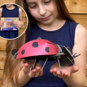 Build Your Own Lady Bird Age 8+