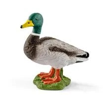 Schleich Drake Duck 13824